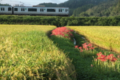 秋風景