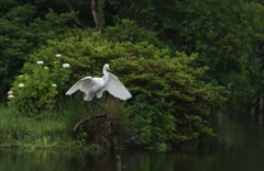 着地できました！