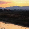 夜明け