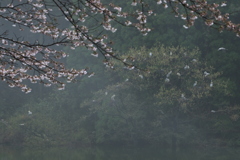 命をつなぐ