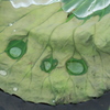 こんにちは