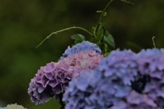 カラフル