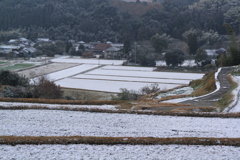私の村の雪景色