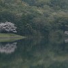 朝の蒲生の池