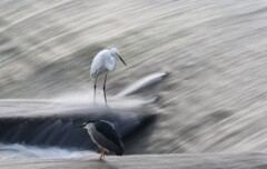 流れが綺麗なシーズンがやってきました。
