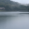 雨にけむる春景色