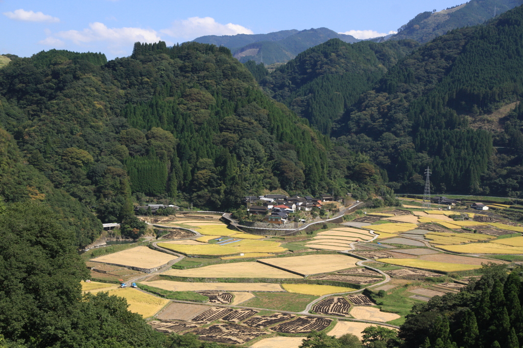 棚田の秋風景