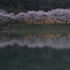 静寂