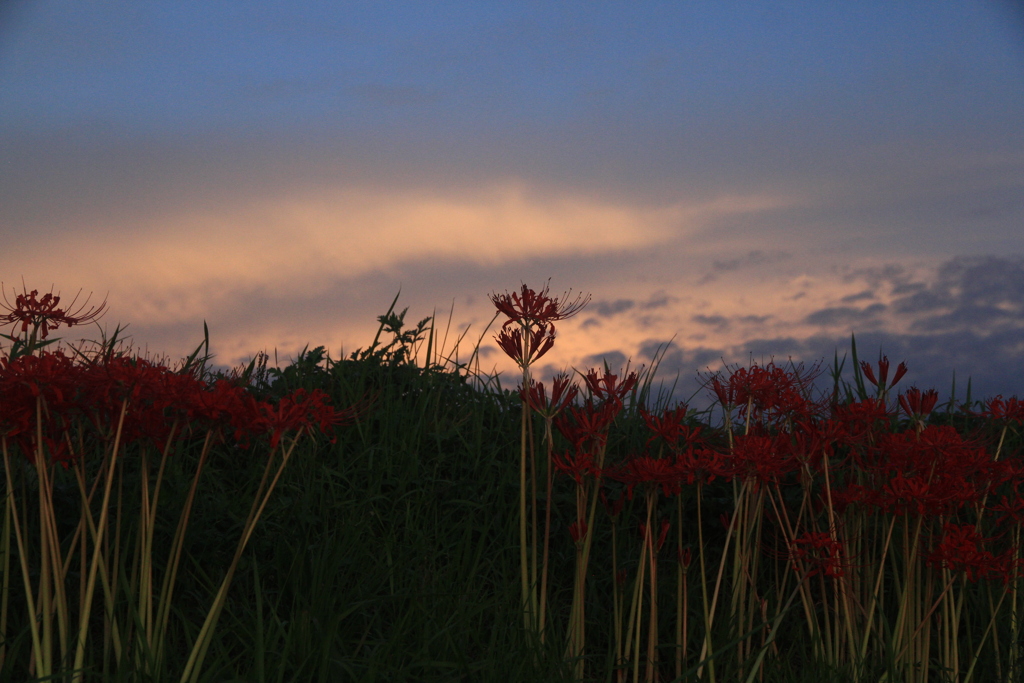 夕暮れ時