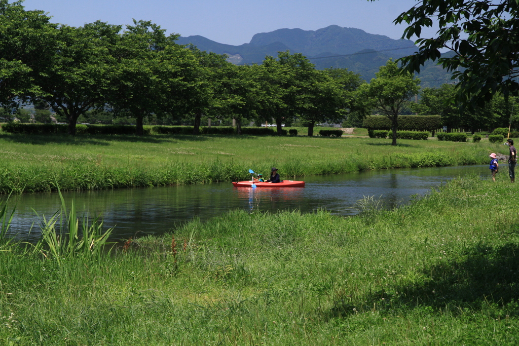 初夏の水辺