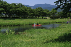 初夏の水辺