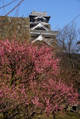 ありし日の熊本城