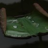 ちょっとユニーク