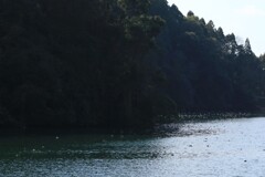 水鳥たちの楽園