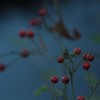 リズム