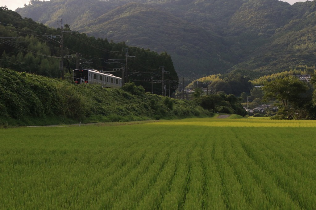 鹿児島本線走ってます！