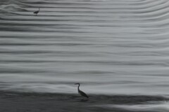 流れの中で