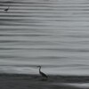 流れの中で