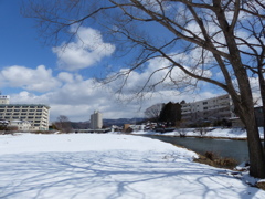 P1030163