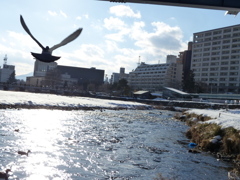 P1020487