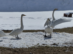 P1030189
