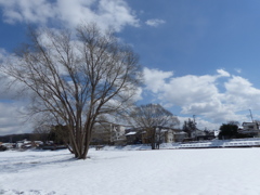 P1030150