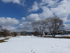 P1030131