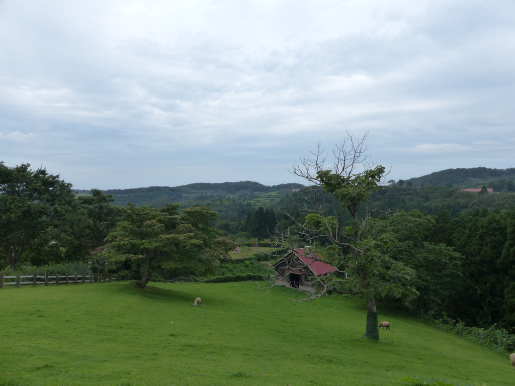 P1000416