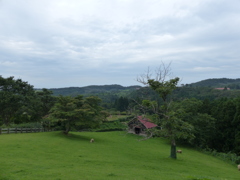P1000416