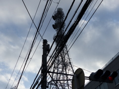 P1020949