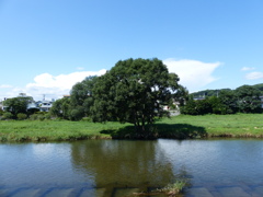P1000964