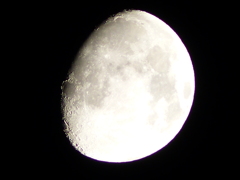 P1010056