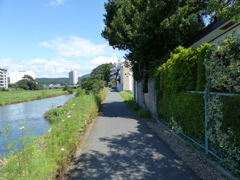 P1000959