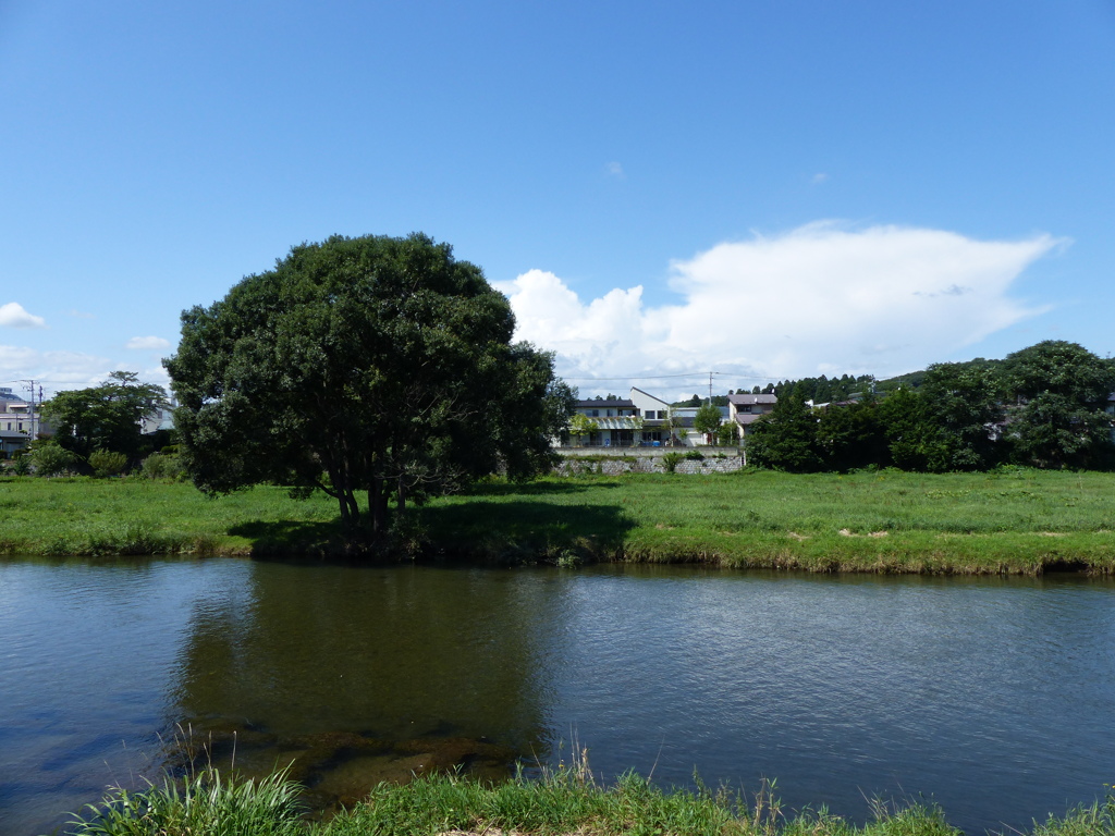 P1000960