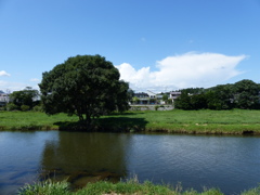 P1000960