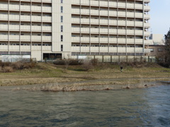P1030271