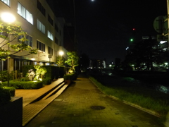 P1010060