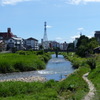 P1000100