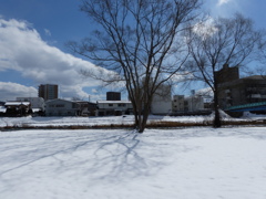 P1030133