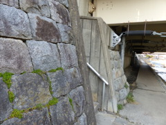 P1030246