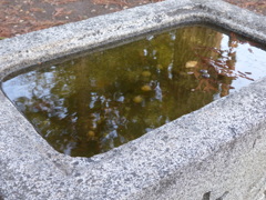 P1030328