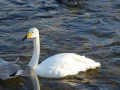 P1020429