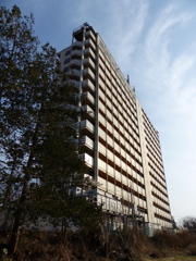 P1030294