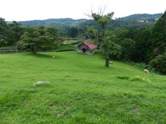 P1000415