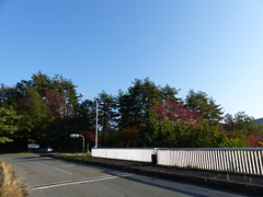P1020293