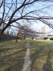 P1030236