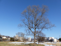 P1020782