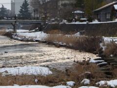 P1020642