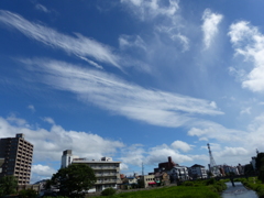 P1000137