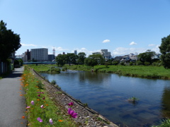 P1000962